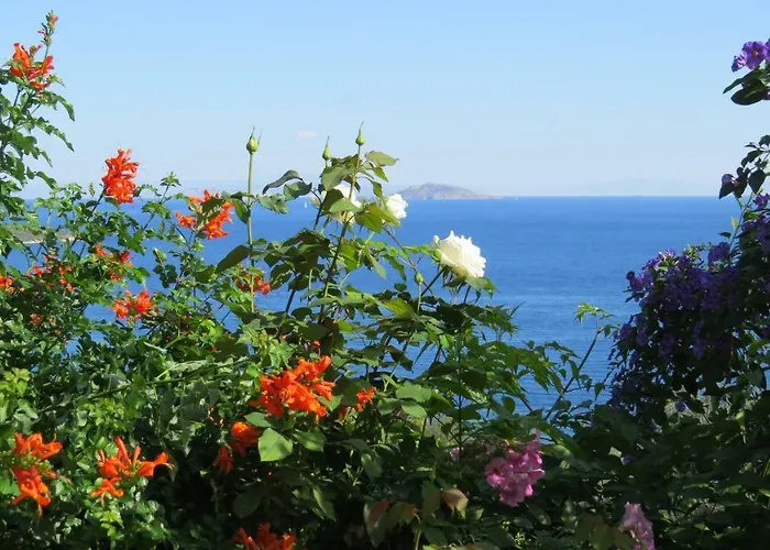 Irini Villa Epidaurus